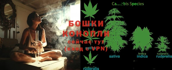 гидра Медногорск